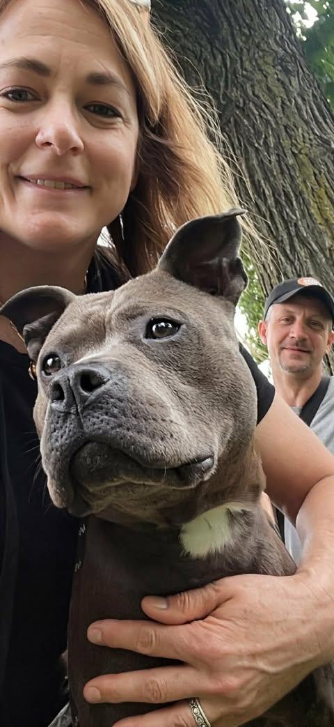 Clover, an adoptable mixed breed in Buffalo, NY image 2/6