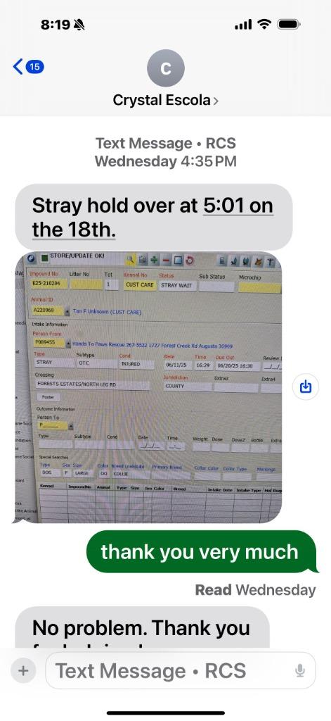Enlarge Hope, a Adoptable mixed breed in Augusta, GA image 3/3