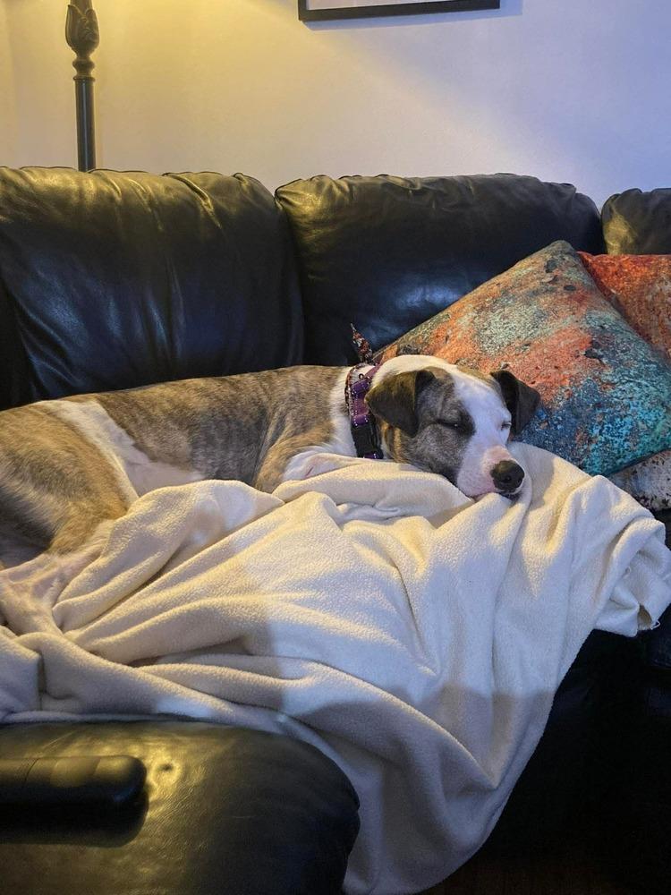 Zoe(Eden) — thumbnail 3