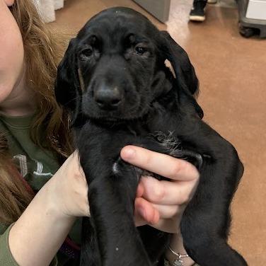 Bulma — thumbnail 3