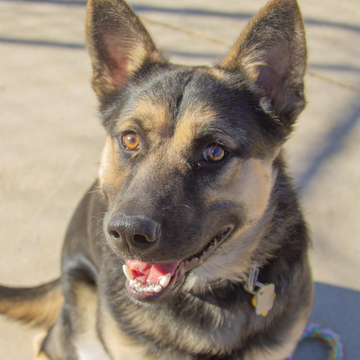 Dakota — thumbnail 3