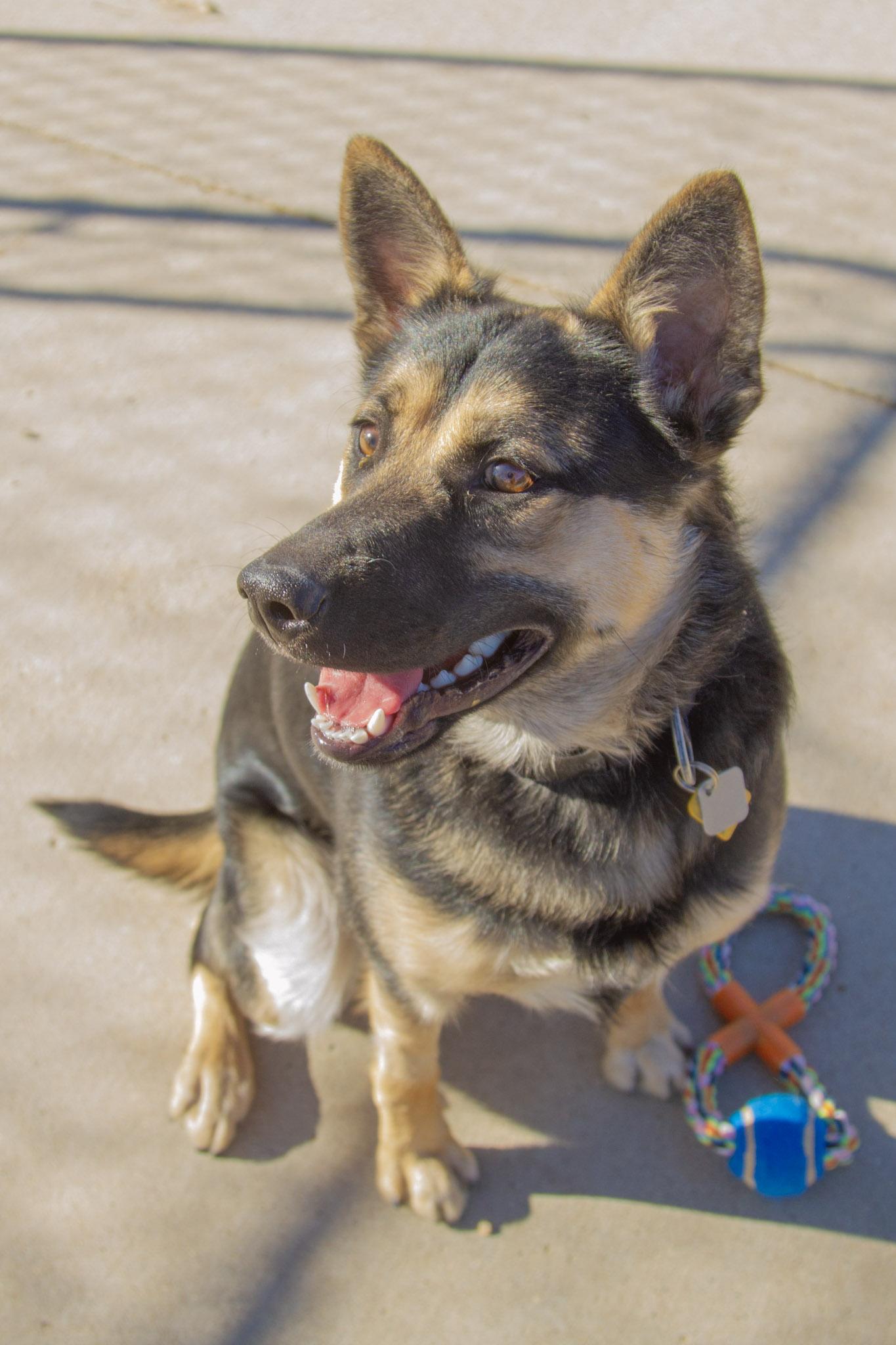 Dakota — thumbnail 6