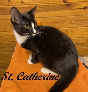 St. Catherine