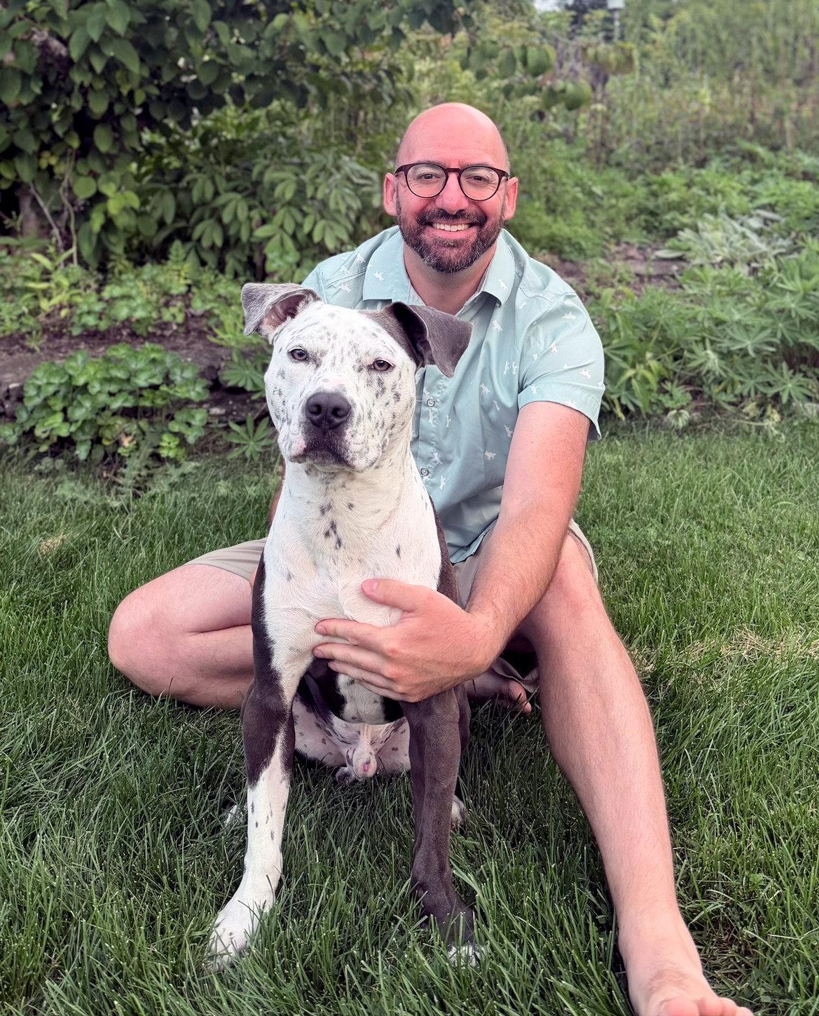 Enlarge Milo, a Adopted Pit Bull Terrier in Framingham, MA image 3/3