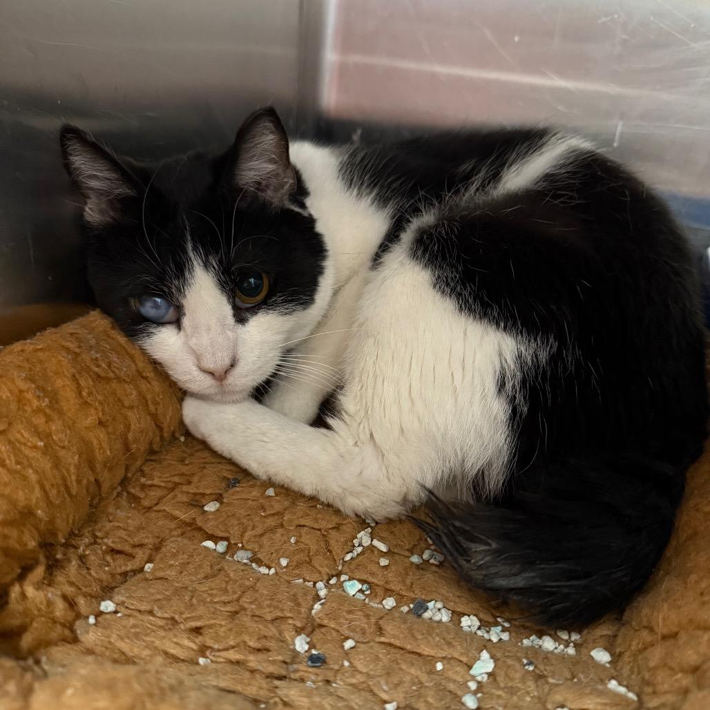 Cleveland — thumbnail 2