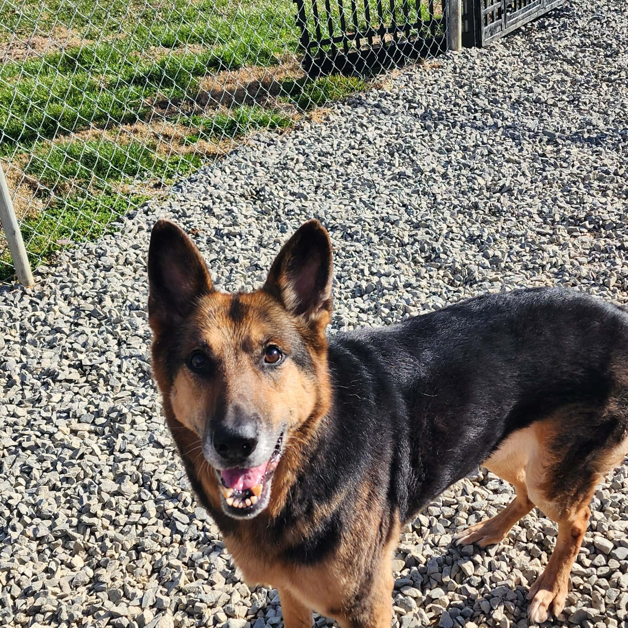 Ellie — thumbnail 3