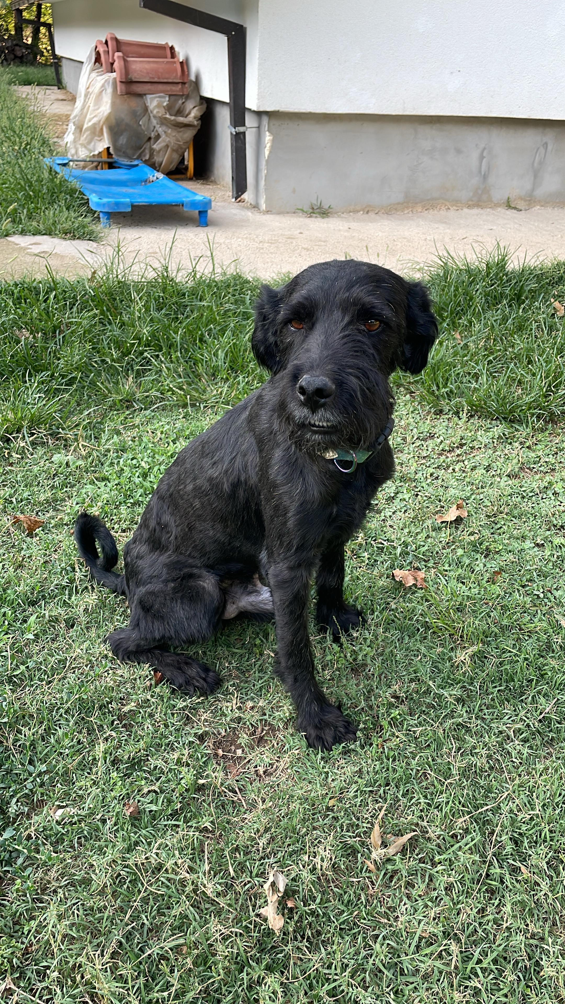 Oscar