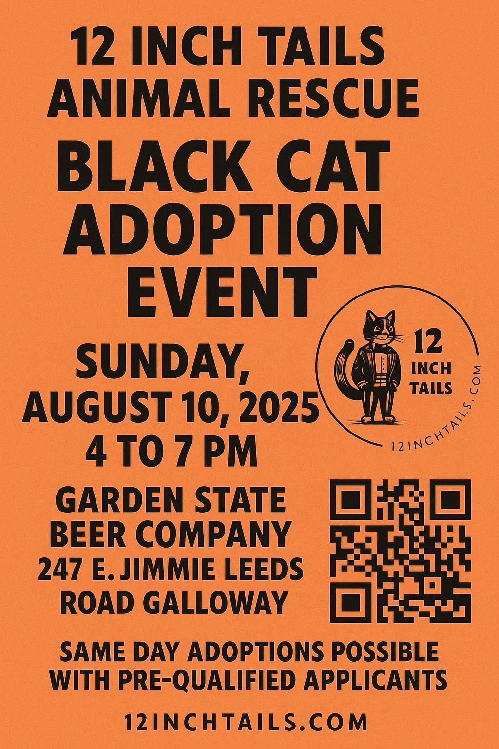 Enlarge Violet, a Adoptable Domestic Short Hair in Galloway, NJ image 3/3