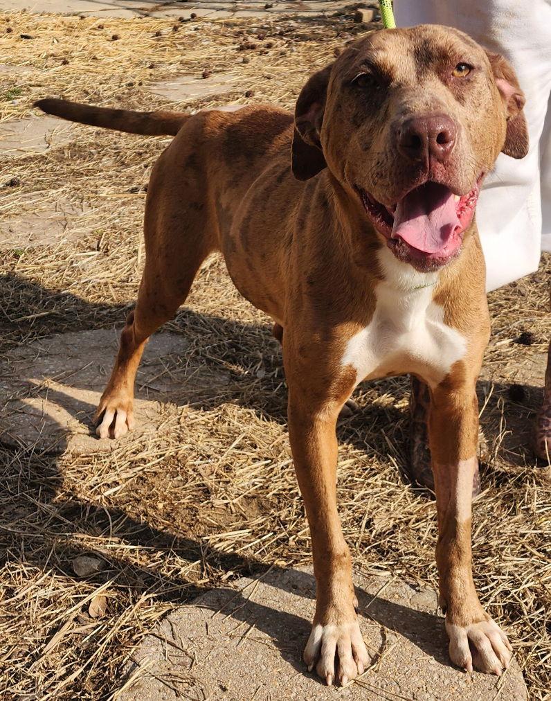 252011 Brenda — thumbnail 2