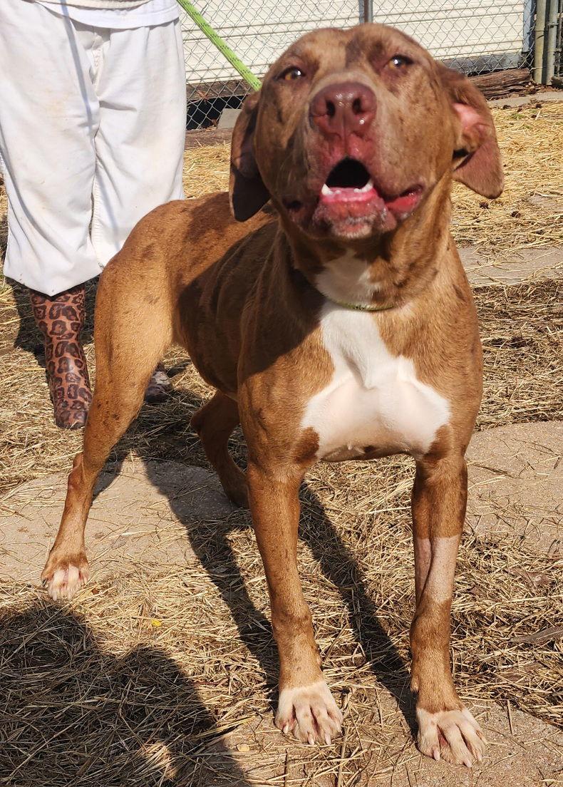 252011 Brenda — thumbnail 3