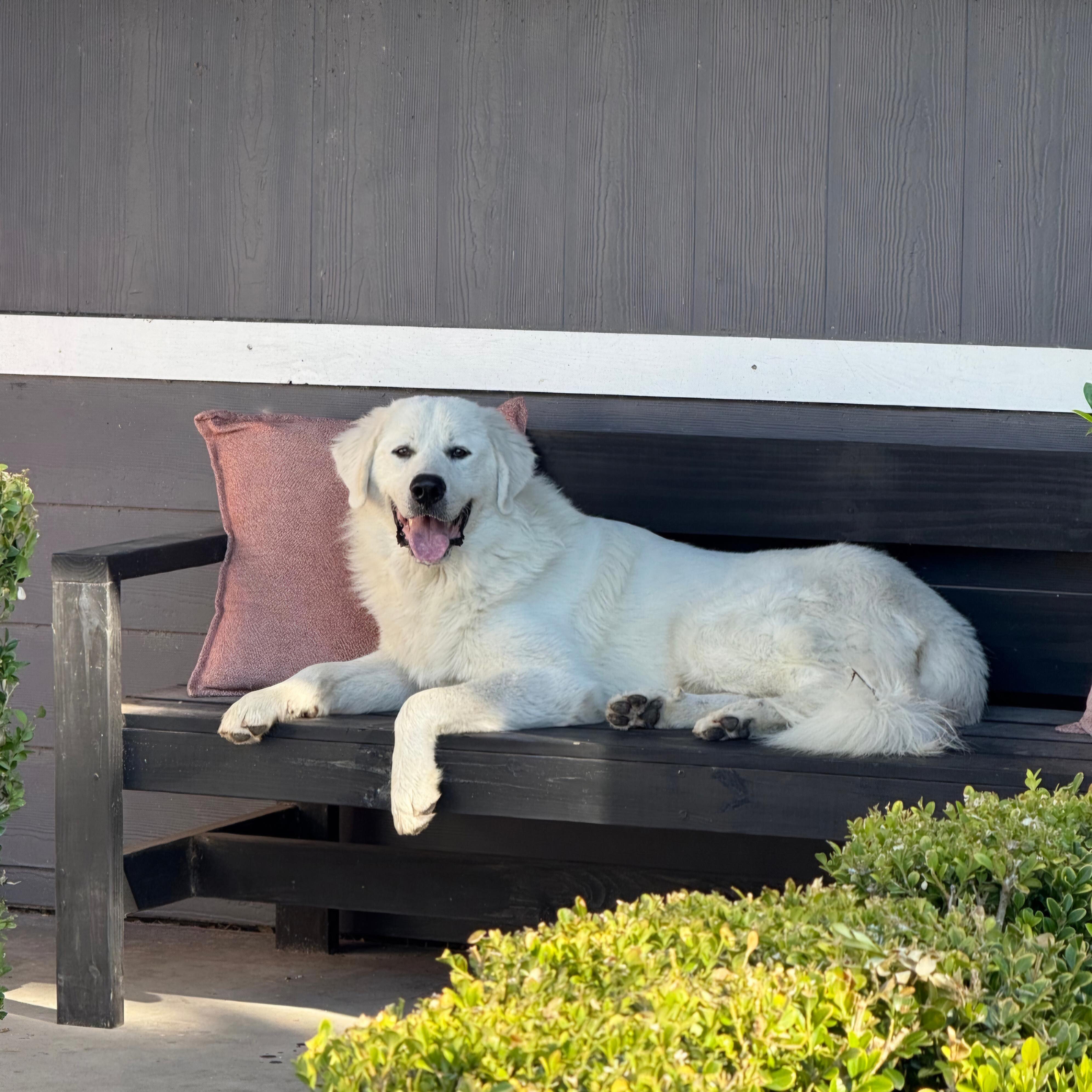 Simon — thumbnail 2