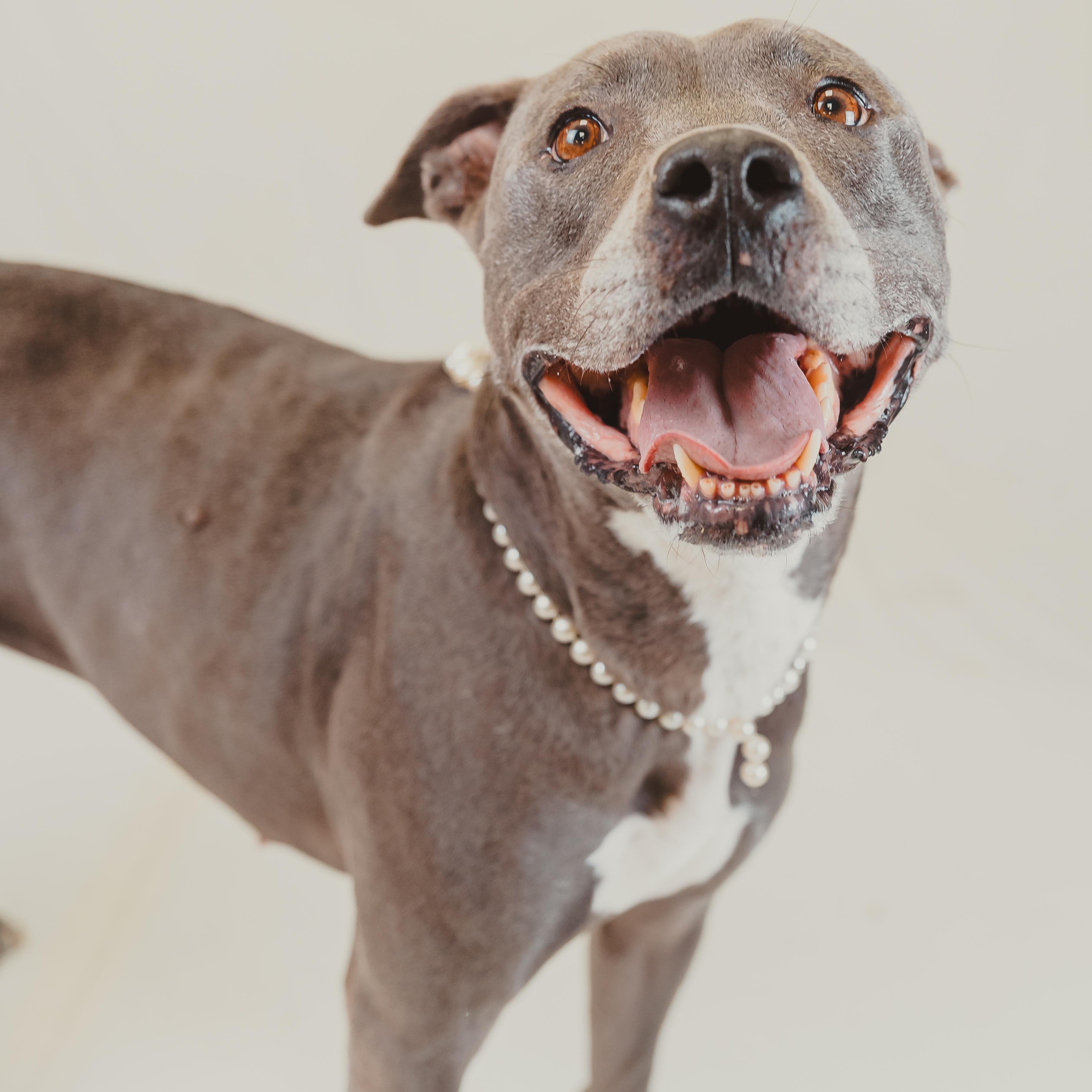 Sunny — thumbnail 5