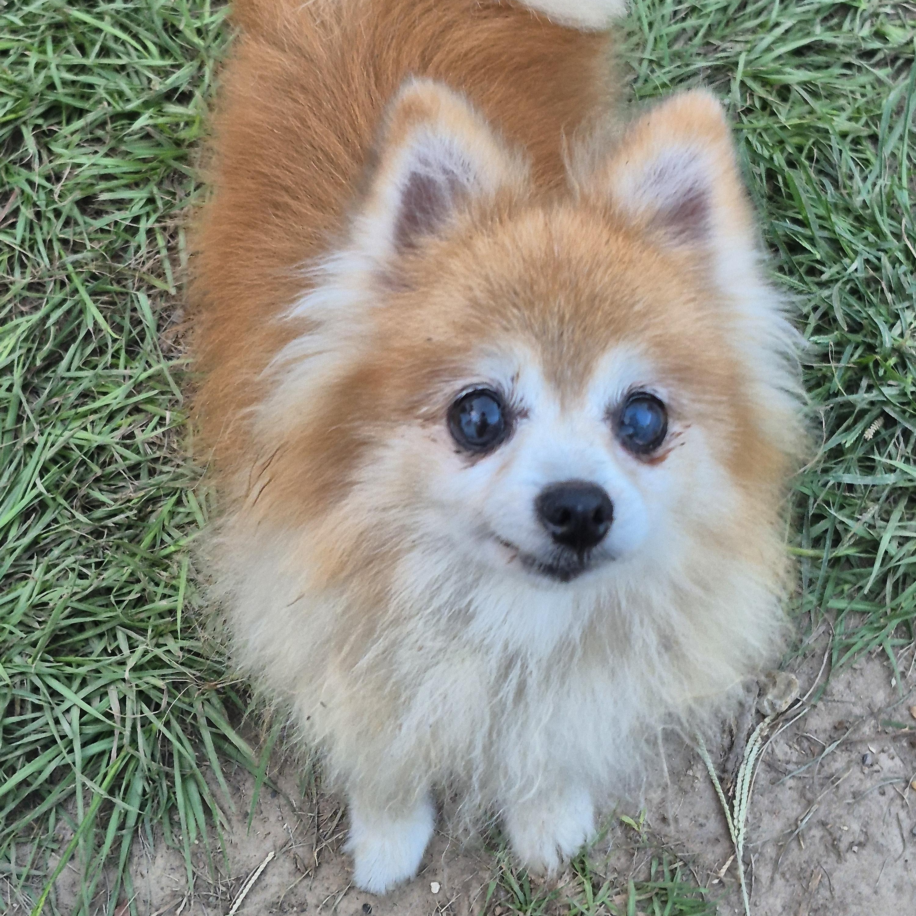 Lulu thumbnail 3