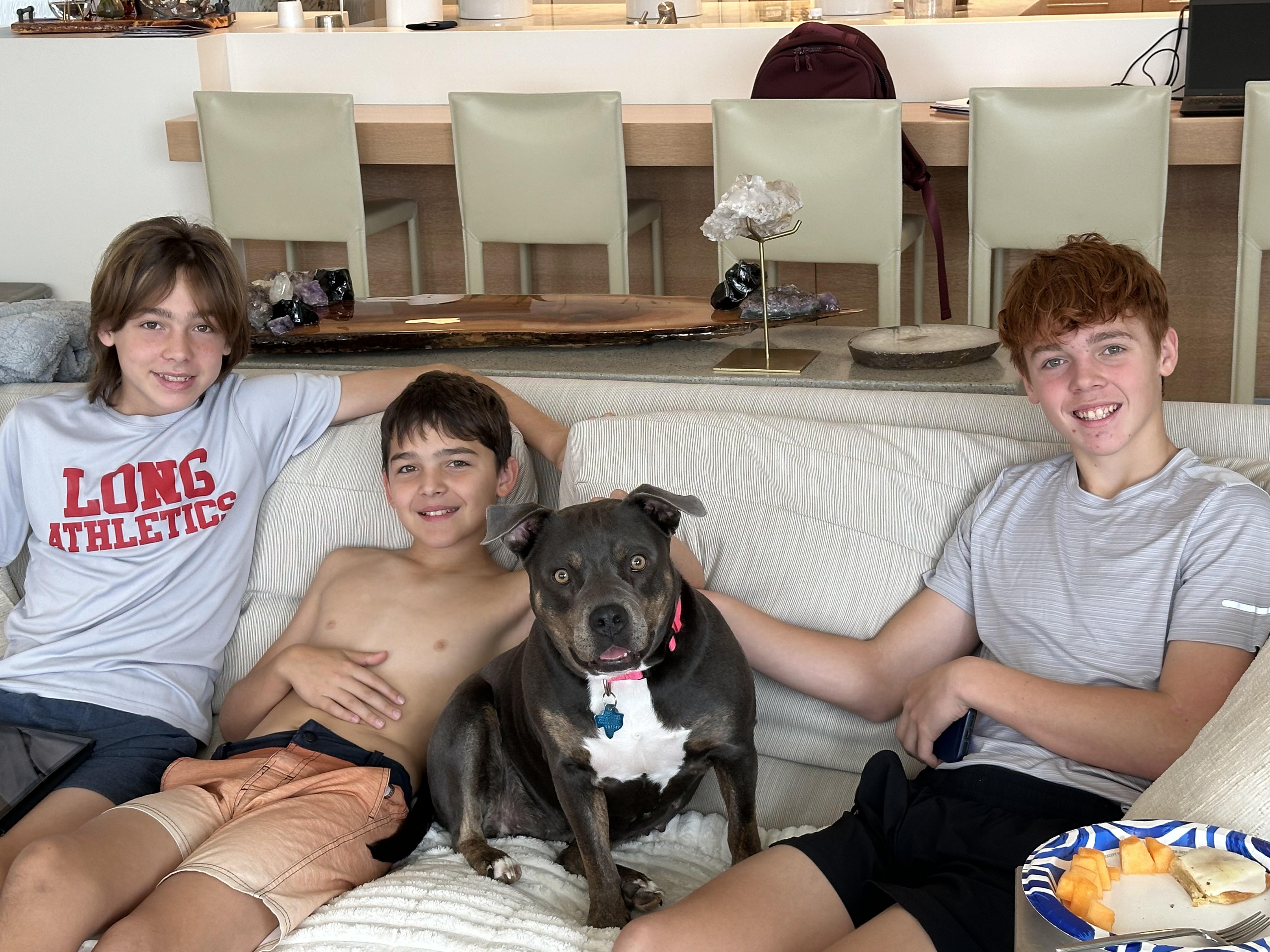 Grace Anne, a ADOPTABLE mixed breed in Longview, TX image 3/3