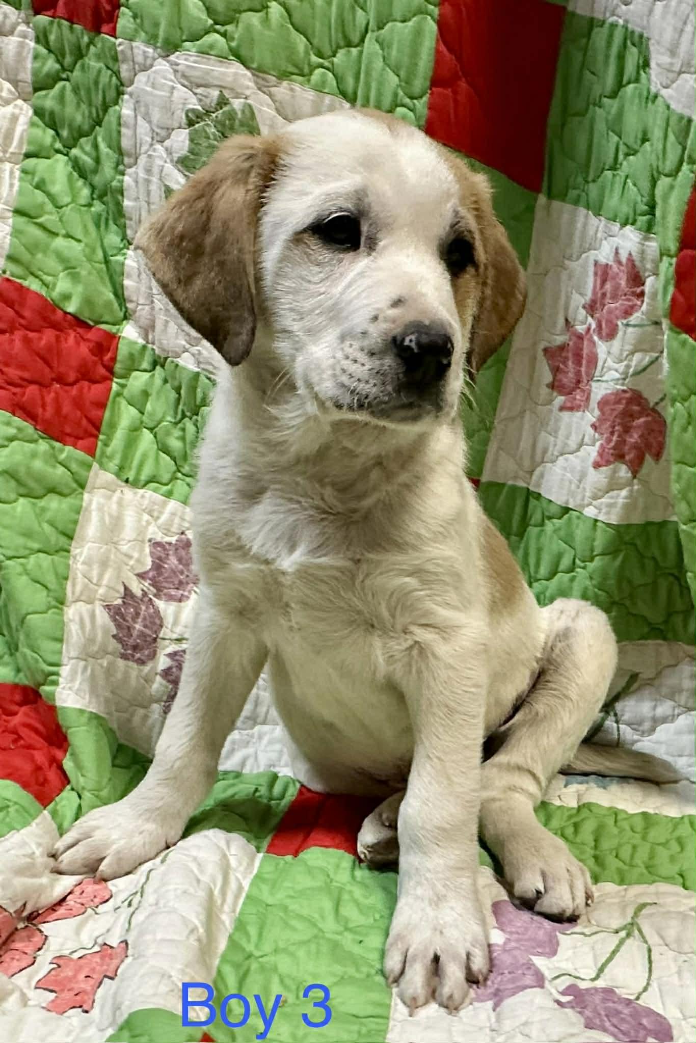 Jake Jackpot — thumbnail 2