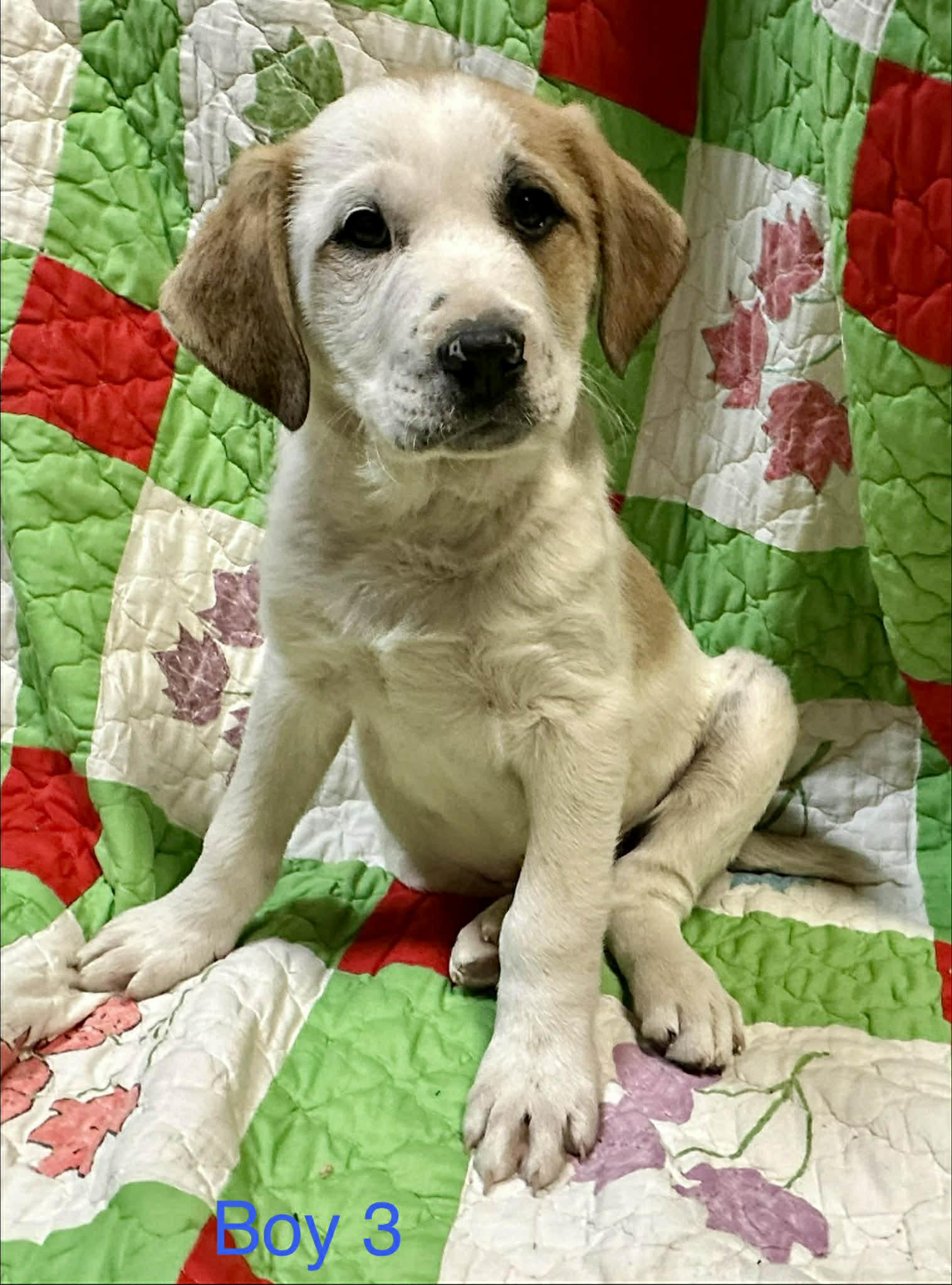 Jake Jackpot — thumbnail 3