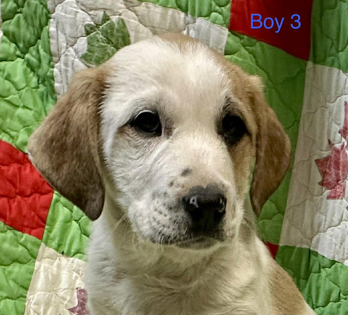 Jake Jackpot — thumbnail 5