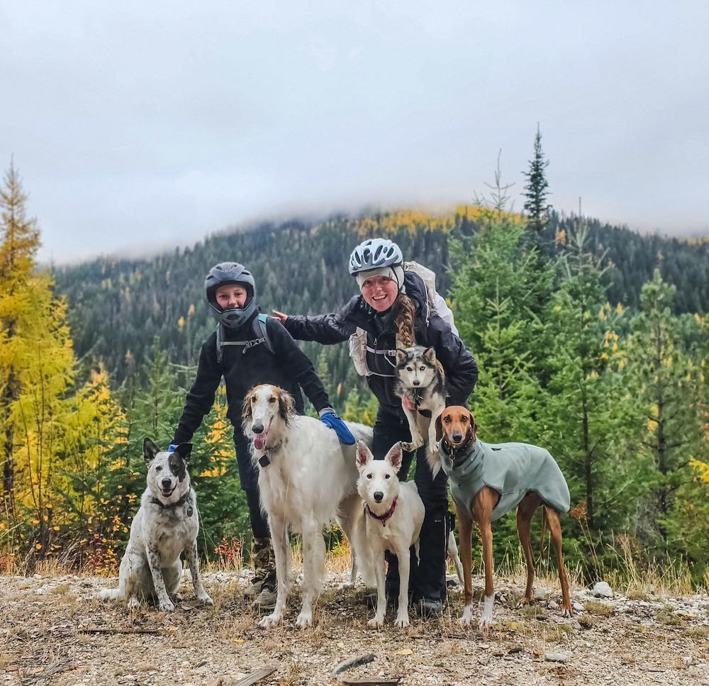 Texas Tornado, a Adoptable Border Collie in Spokane , WA image 3/6