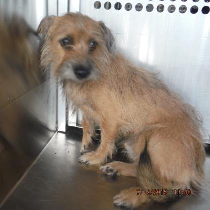 Eddie — thumbnail 2