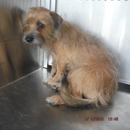 Eddie — thumbnail 3