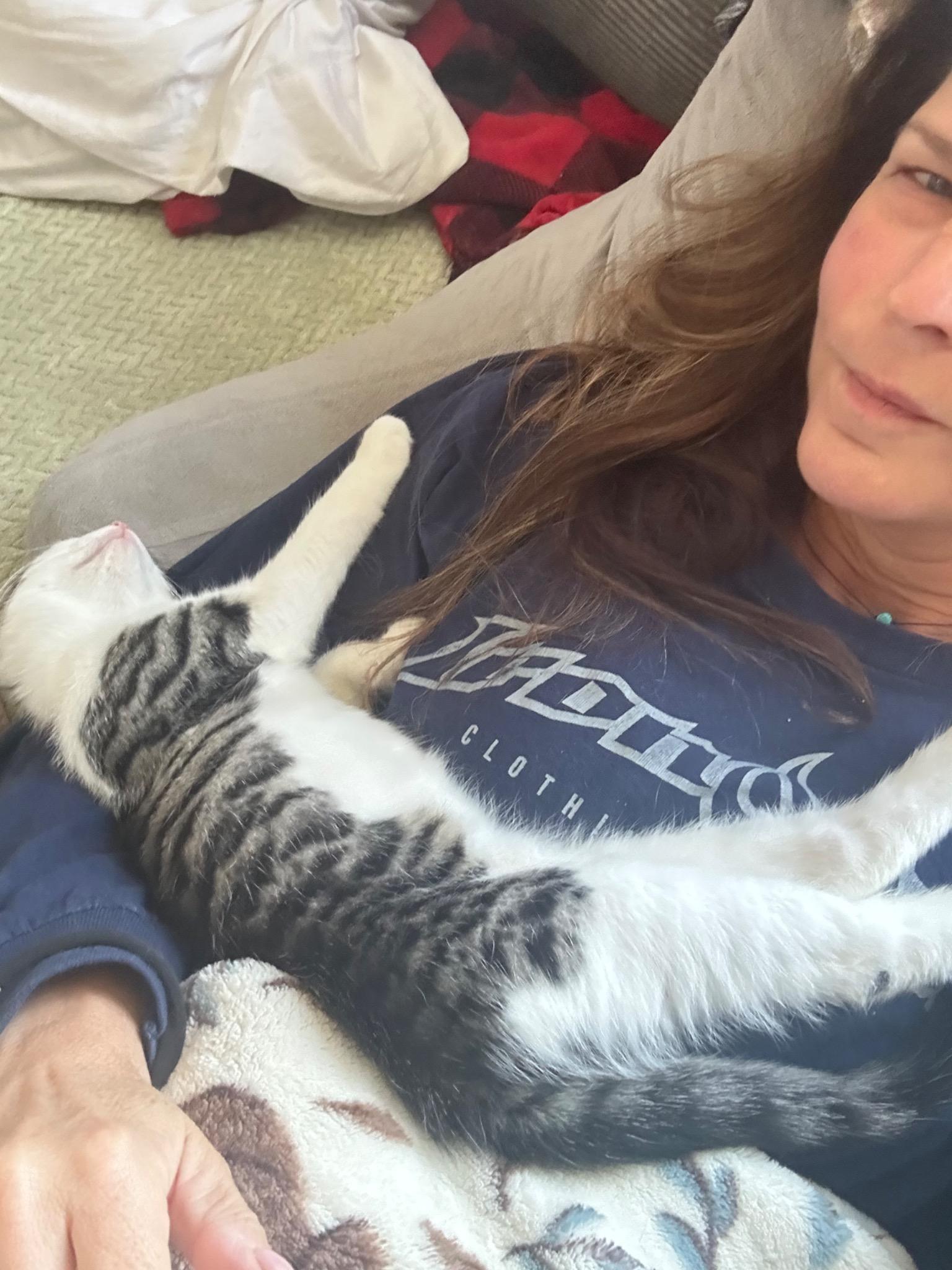 Enlarge Curt, a Adoptable mixed breed in Cornwall, NY image 1/2