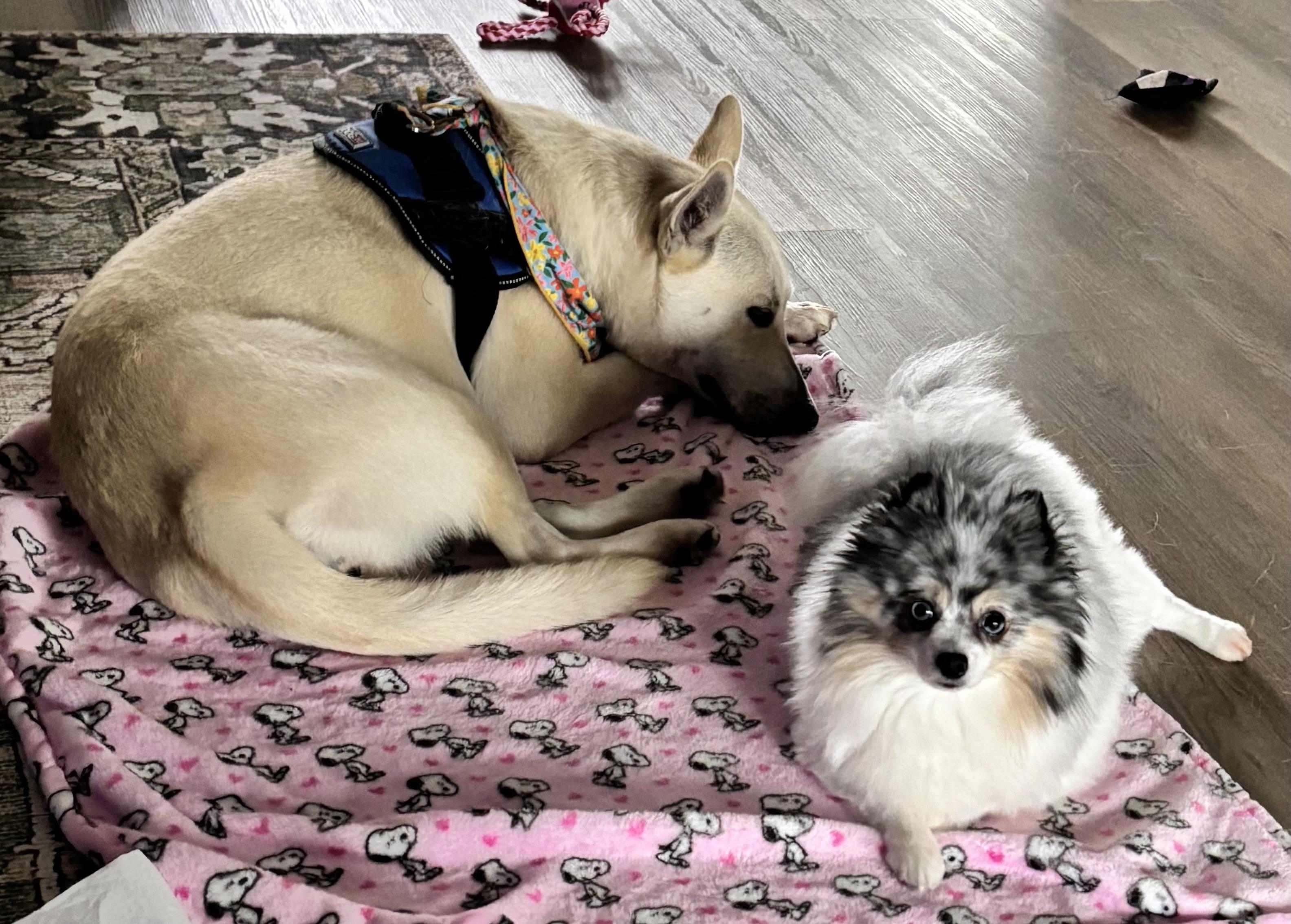 Lucy Lou — thumbnail 2