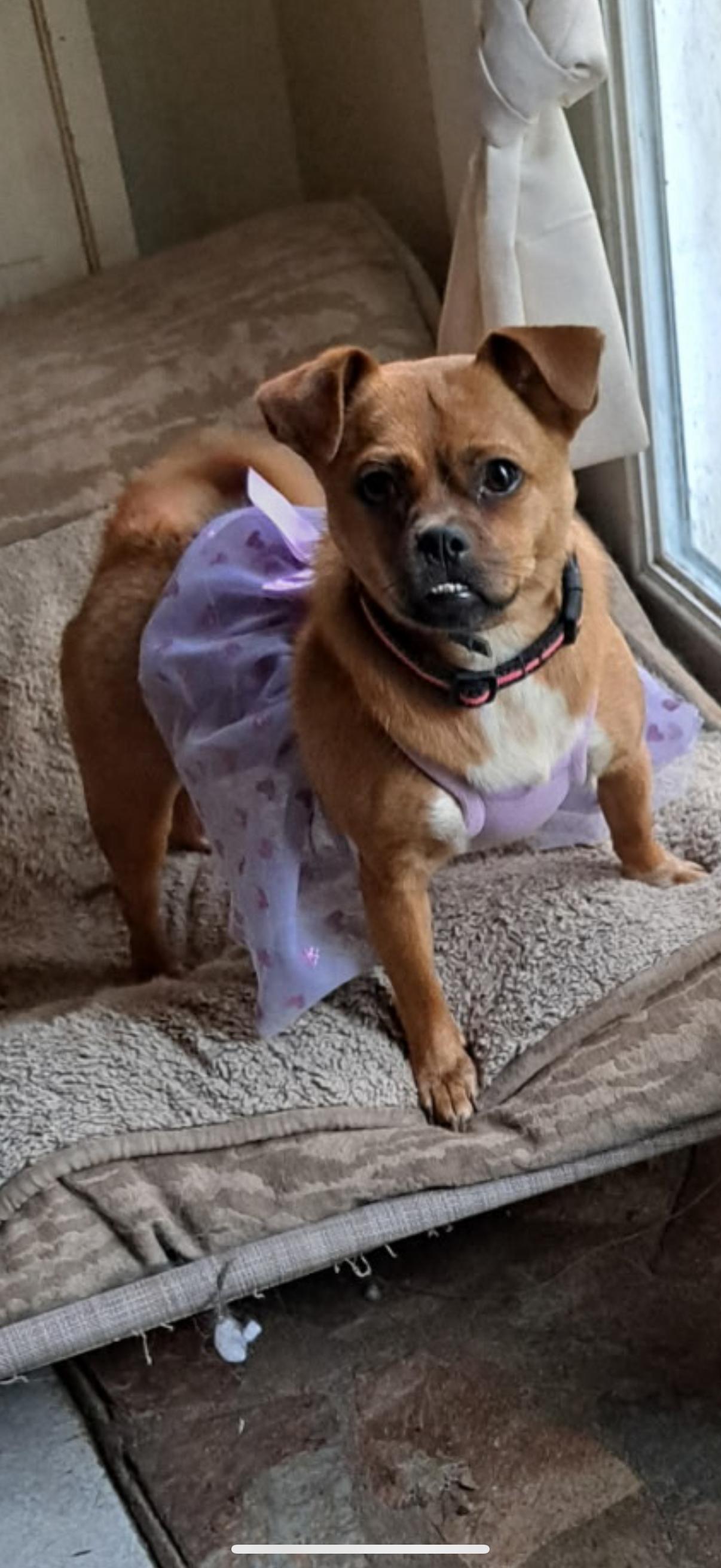 Ellie photo
