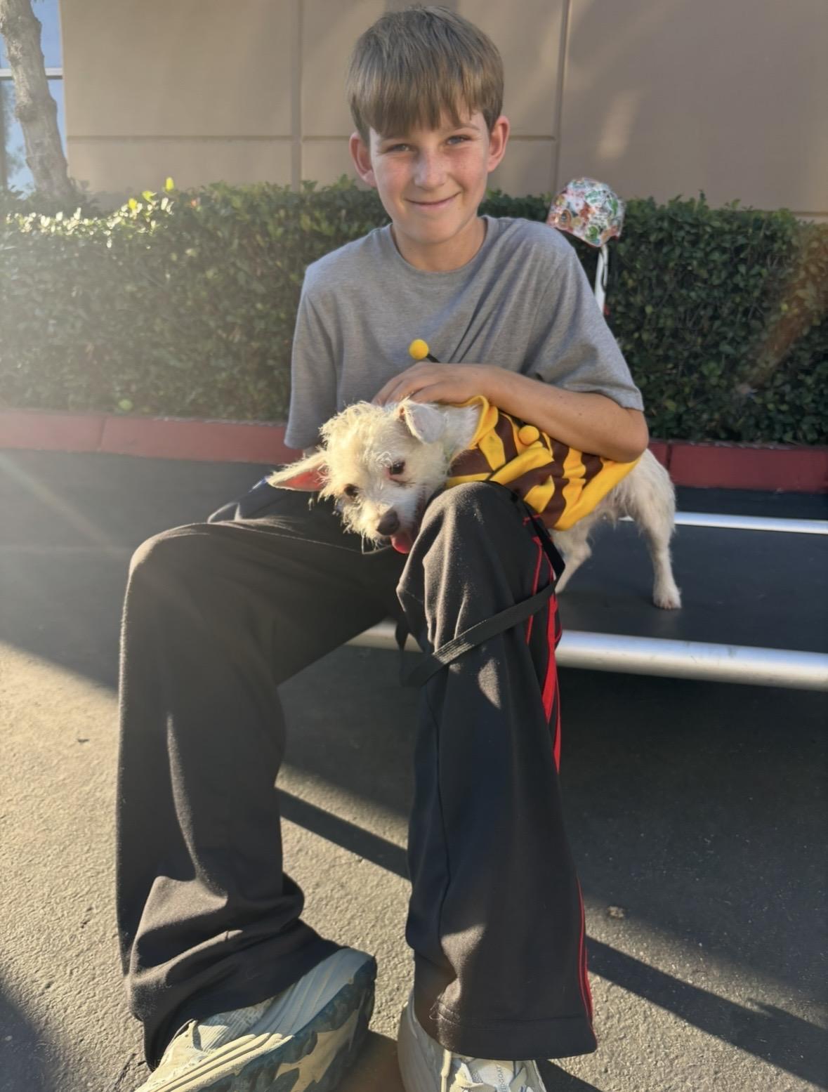 Grogu, a Adoptable mixed breed in Rancho Santa Margarita, CA image 6/6