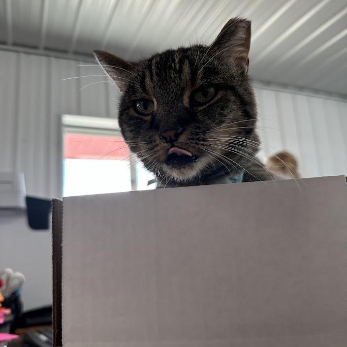 Puma Thurman thumbnail 3