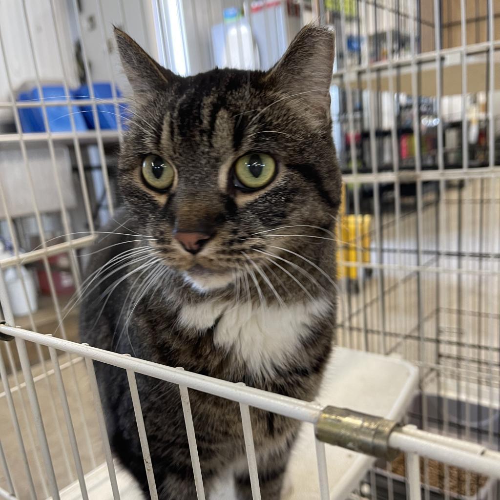 Puma Thurman thumbnail 4