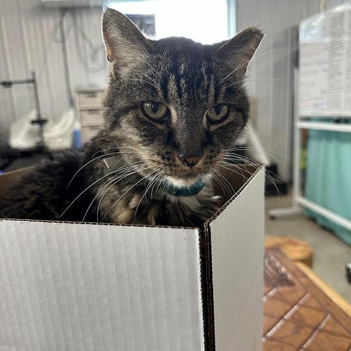 Puma Thurman thumbnail 5