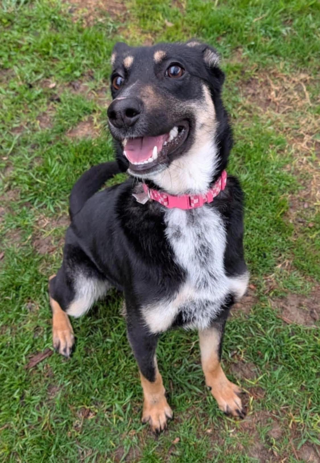 Roxie, Young Female unknown
