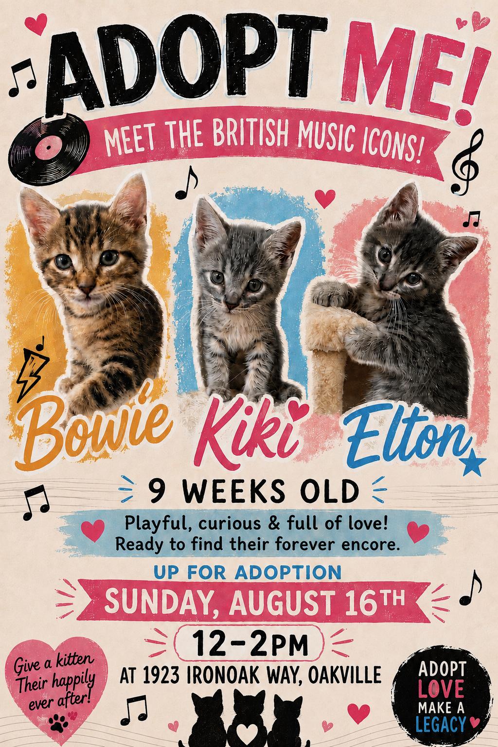 Adoption event - Pet Valu Oakwoods - August 16, 12pm-2pm, adopted, Kitten Male Tabby.