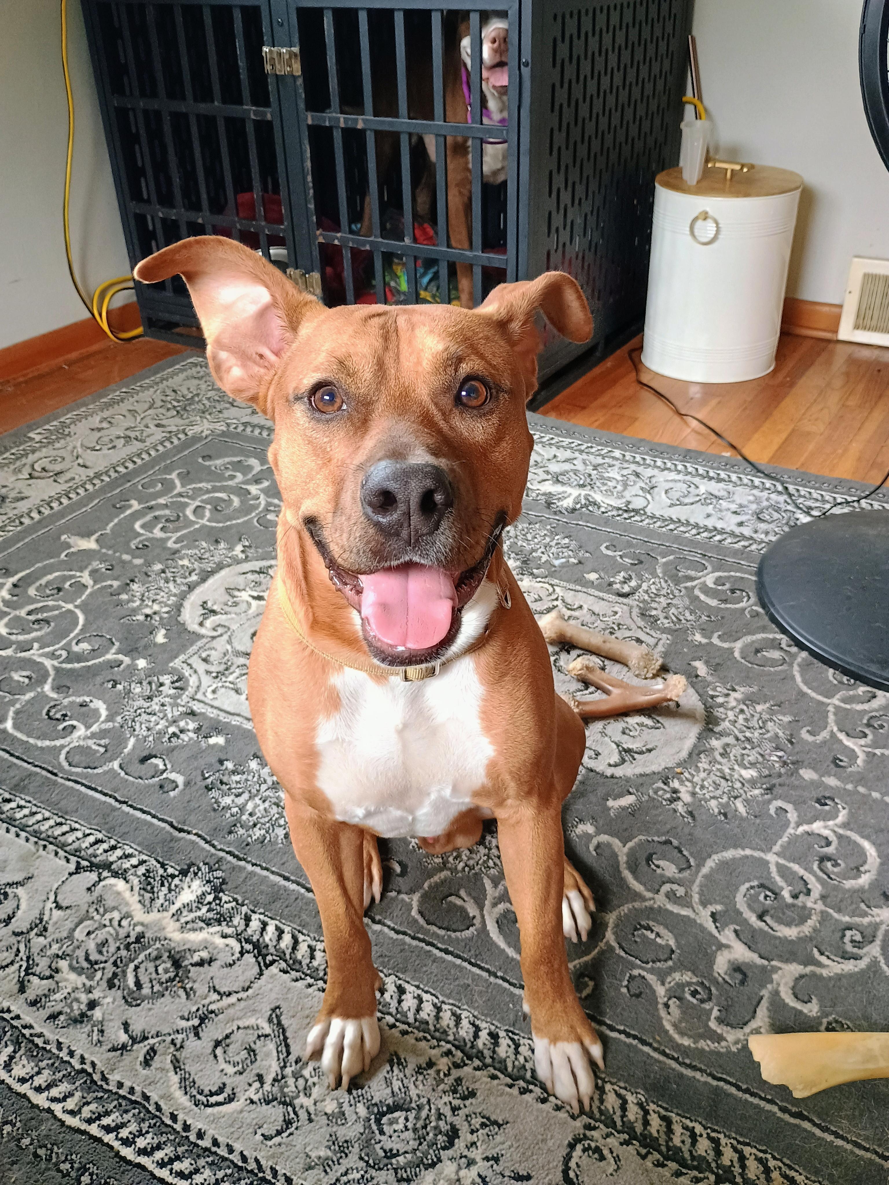 [REDUCED] Corky