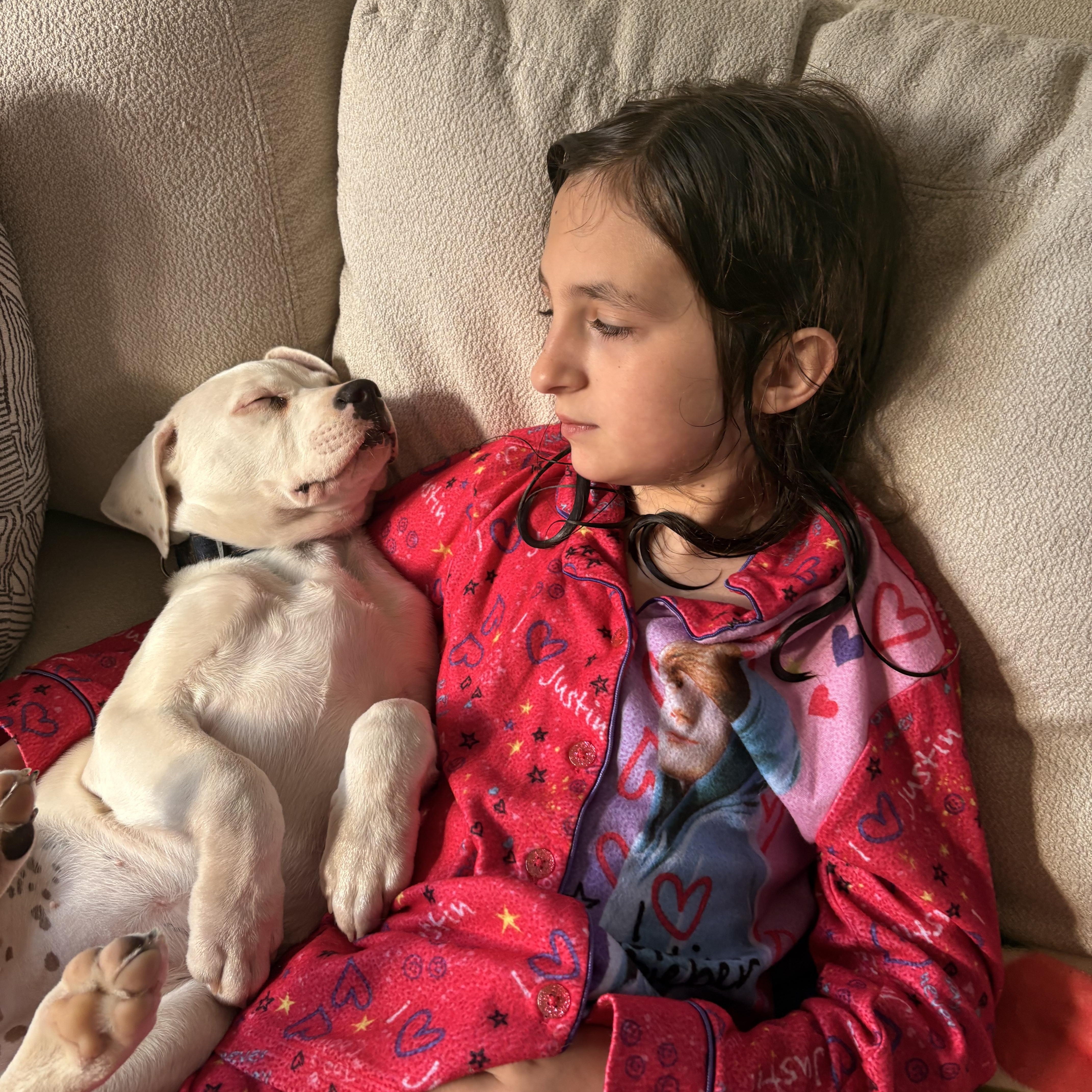 Enlarge Faith, a ADOPTABLE mixed breed in Hillsdale, NY image 2/4