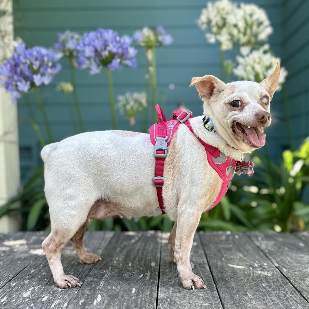 Marbles — thumbnail 2