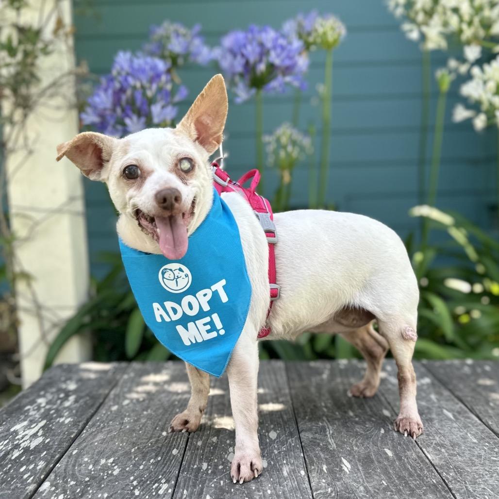 Marbles — thumbnail 3