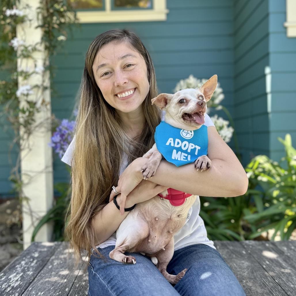 Marbles — thumbnail 4