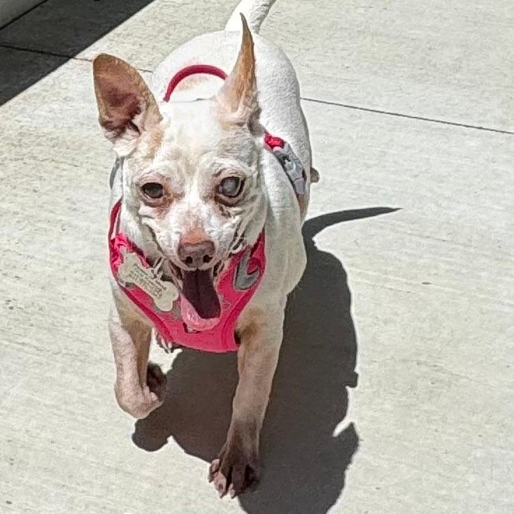 Marbles — thumbnail 5