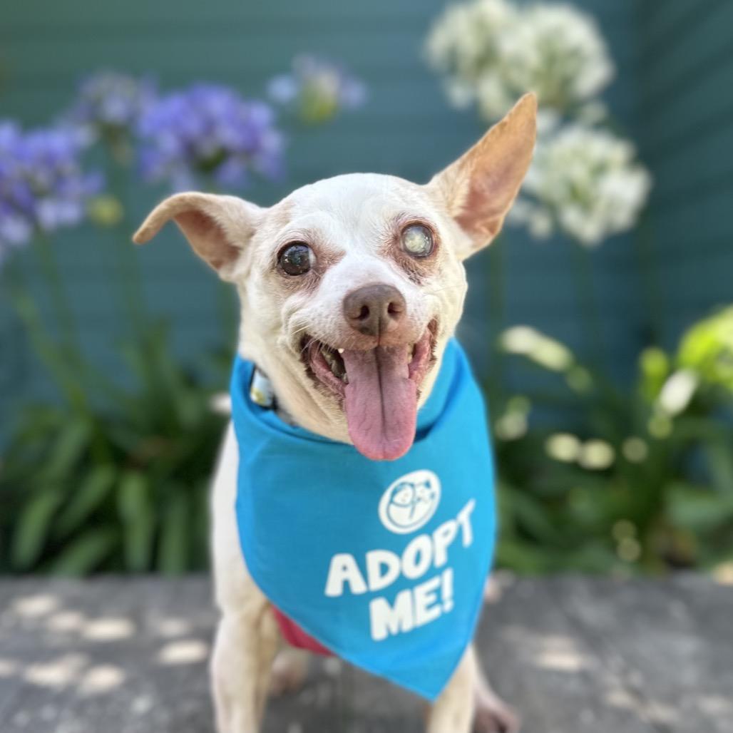 Marbles — thumbnail 6