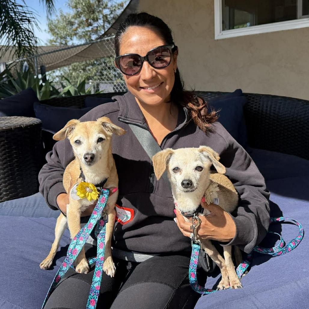 Boppity — thumbnail 2