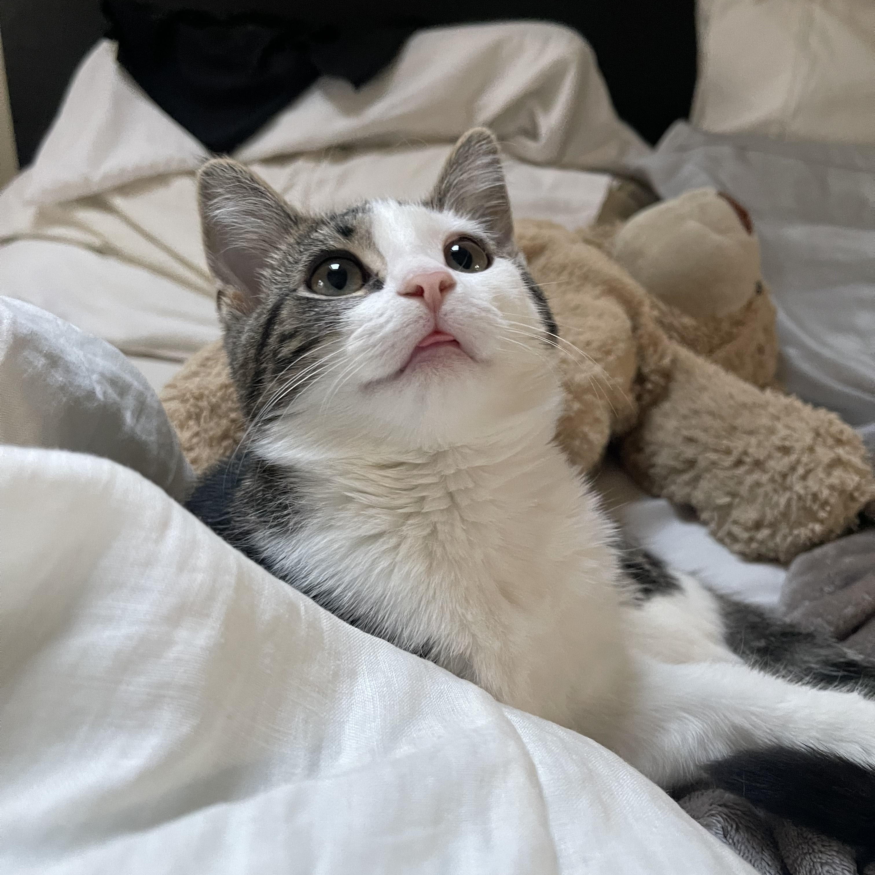 Florence thumbnail 5