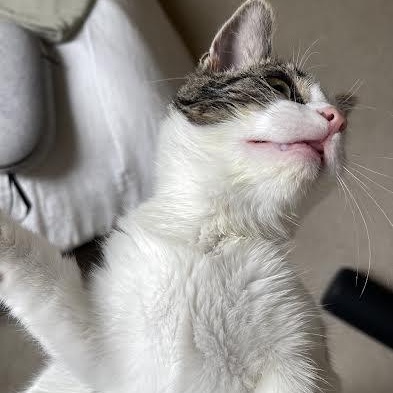 Florence thumbnail 6