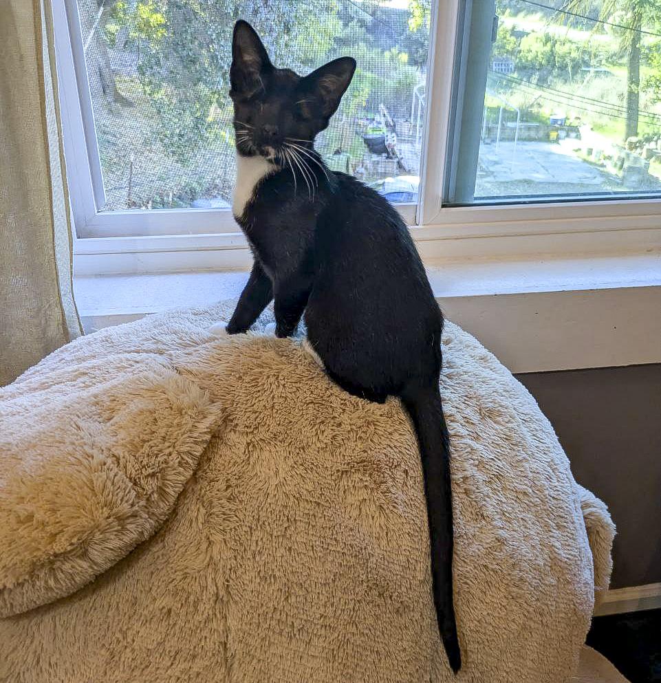 Nelson & Murdoch thumbnail 6