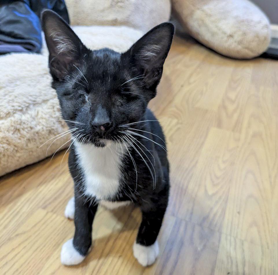 Nelson & Murdoch thumbnail 2