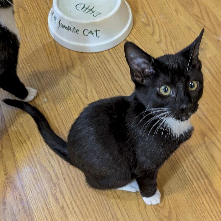 Nelson & Murdoch thumbnail 3