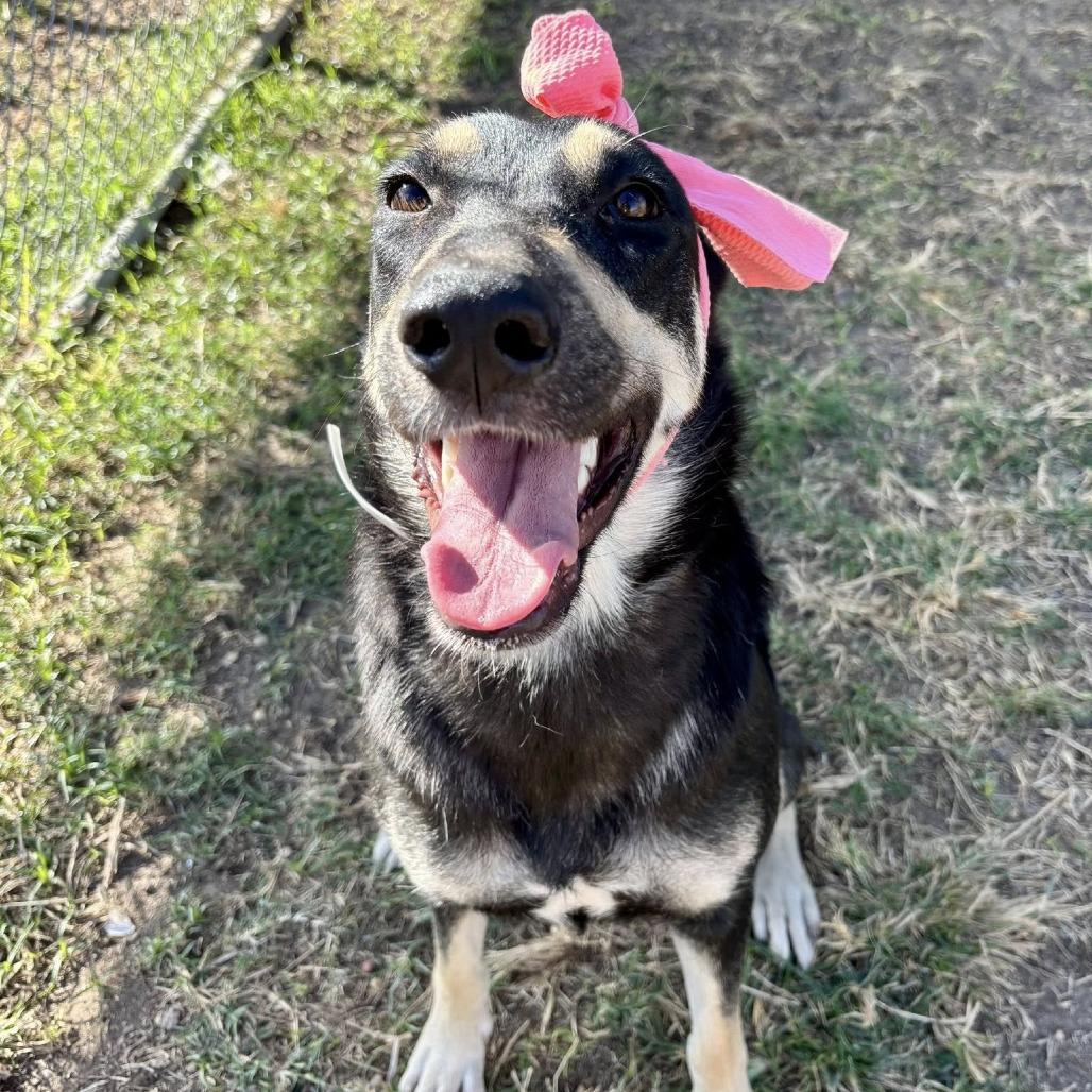 Marinara thumbnail 2