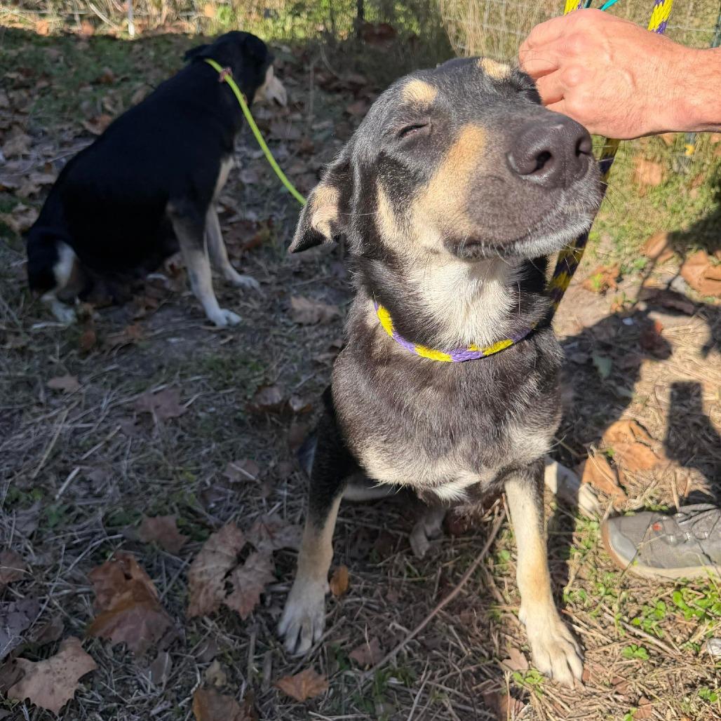 Marinara thumbnail 5