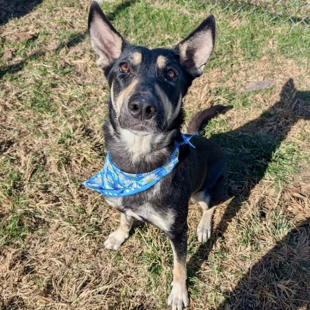 Marinara thumbnail 6