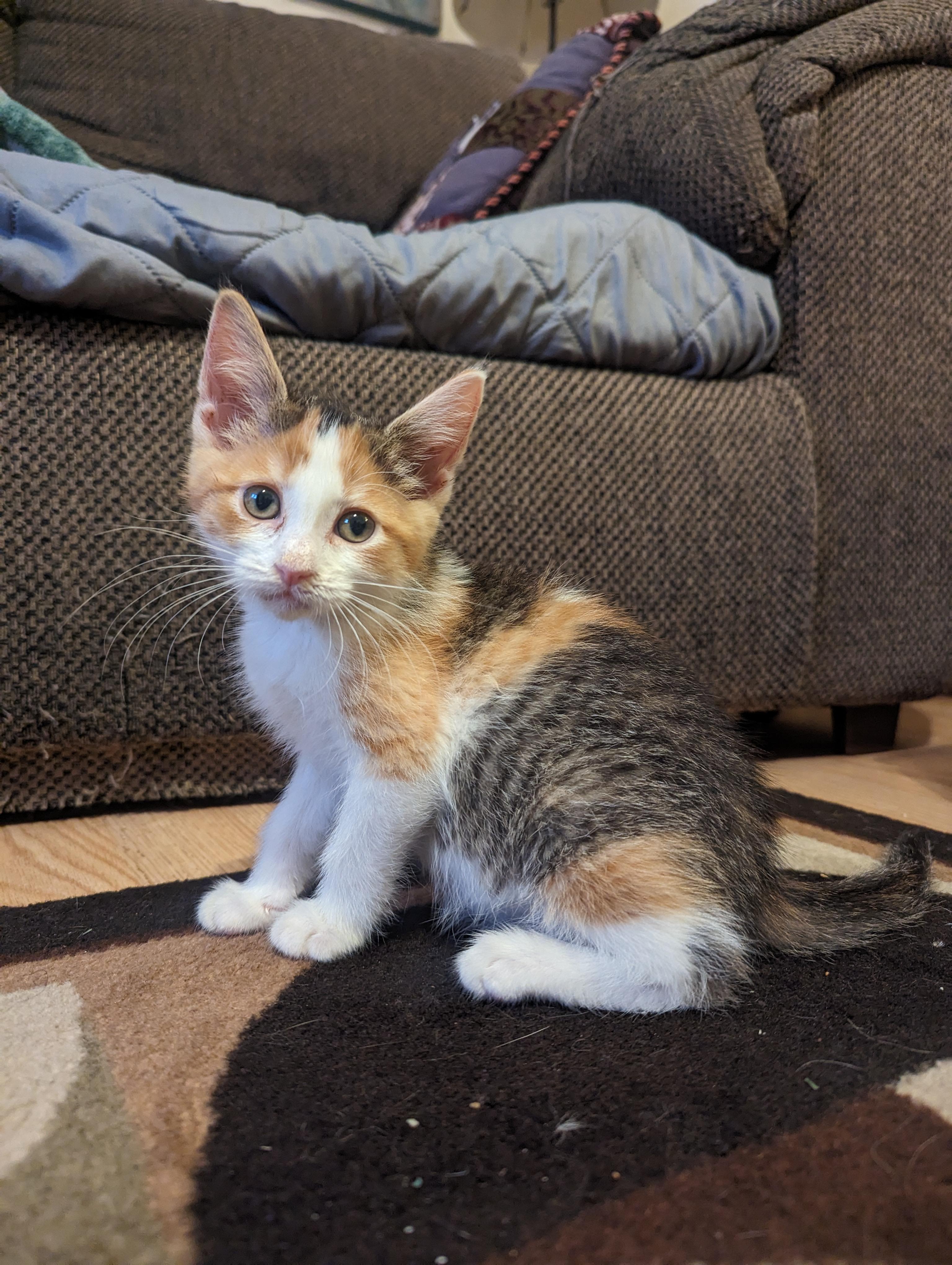 Lucy
